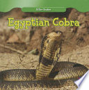 Egyptian Cobra cover