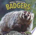 Badgers cover