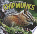 Chipmunks cover