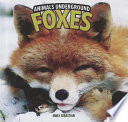 Foxes cover