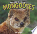 Mongooses cover