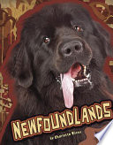 Newfoundlands cover