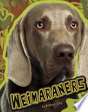 Weimaraners cover