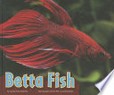 Betta Fish cover