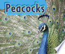 Peacocks cover