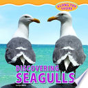 Discovering Seagulls cover