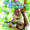 Rhesus Monkeys cover