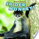 Spider Monkeys cover
