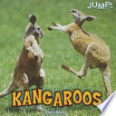 Kangaroos cover