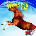A Horse's Life cover