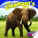 An Elephant's Life cover