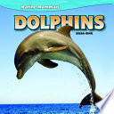 Dolphins cover