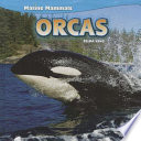 Orcas cover