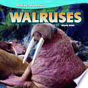 Walruses cover