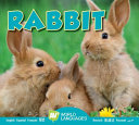 Rabbit cover