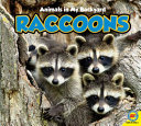 Raccoons cover