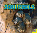 Squirrels cover