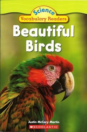 Beautiful Birds cover