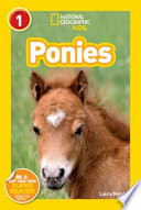 Ponies cover