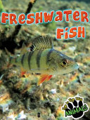 Freshwater Fish cover