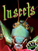 Insects cover