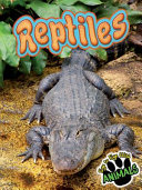 Reptiles cover