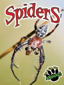 Spiders cover