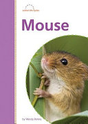 Mouse cover