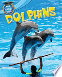 Dolphins cover