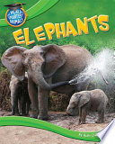 Elephants cover
