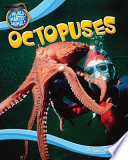 Octopuses cover