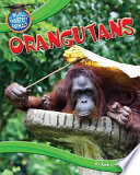 Orangutans cover