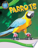 Parrots cover