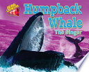 Humpback Whale: The Singer cover