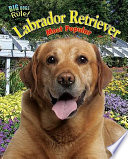 Labrador Retriever: Most Popular cover