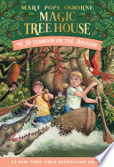 Afternoon on the Amazon cover