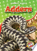 Adders cover