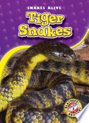 Tiger Snakes cover