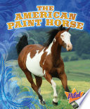The American Paint Horse cover