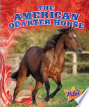 The American Quarter Horse cover