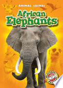 African Elephants cover
