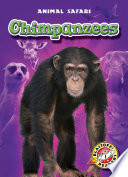 Chimpanzees cover