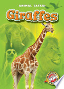 Giraffes cover