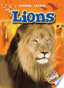 Lions cover