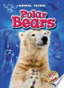 Polar Bears cover