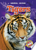 Tigers cover