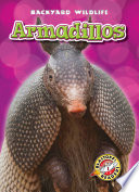 Armadillos cover