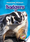 Badgers cover