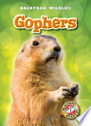 Gophers cover