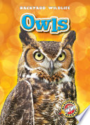 Owls cover